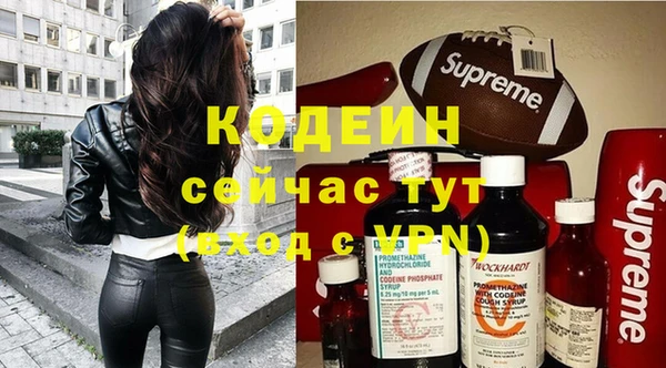 дмт Краснослободск