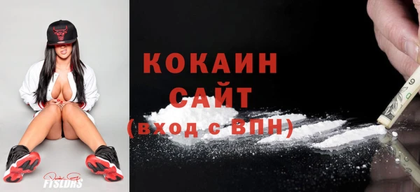 дмт Краснослободск