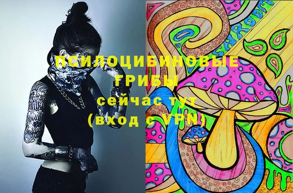 дмт Краснослободск