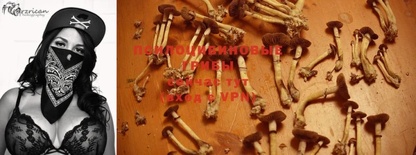 амф Красноперекопск
