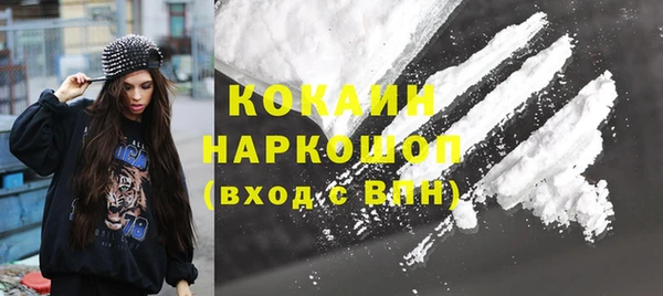 дмт Краснослободск